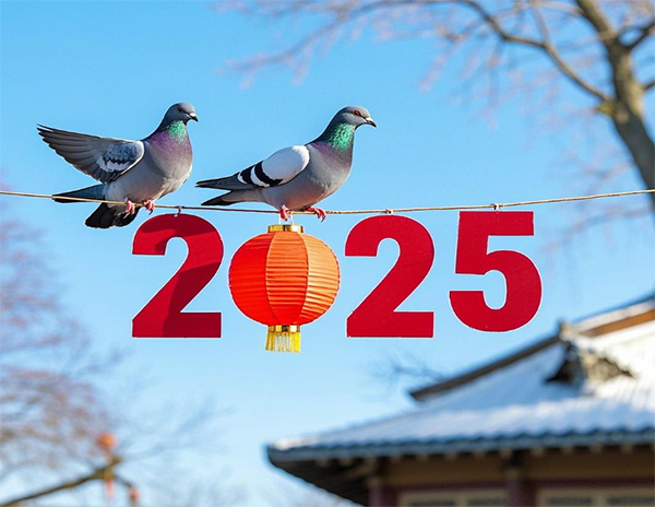 液壓升降機